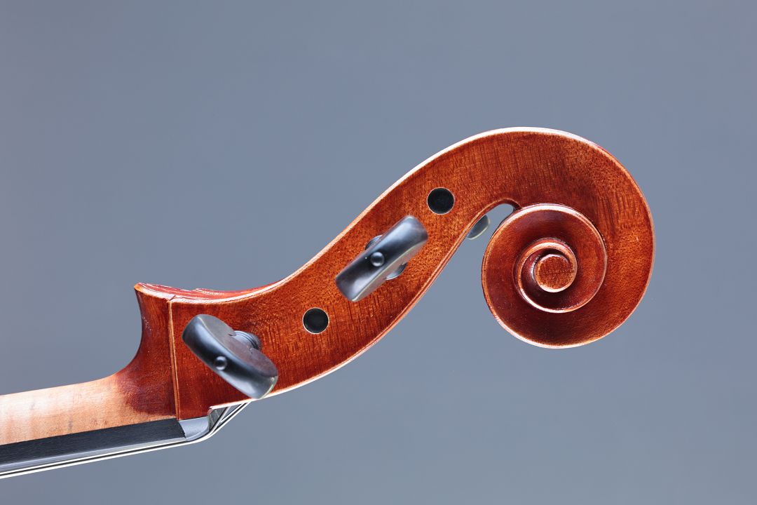 Klotz Julia - Mittenwald Anno 2026 - Palmkatzl - C-436